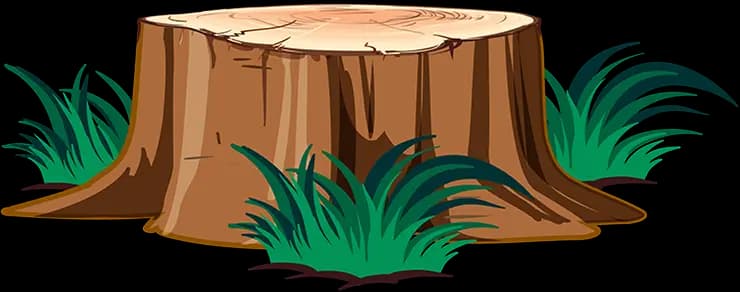 Tree Wood