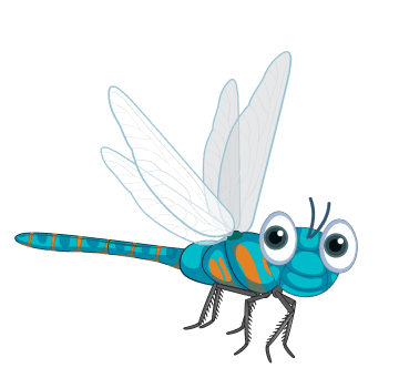 Dragonfly